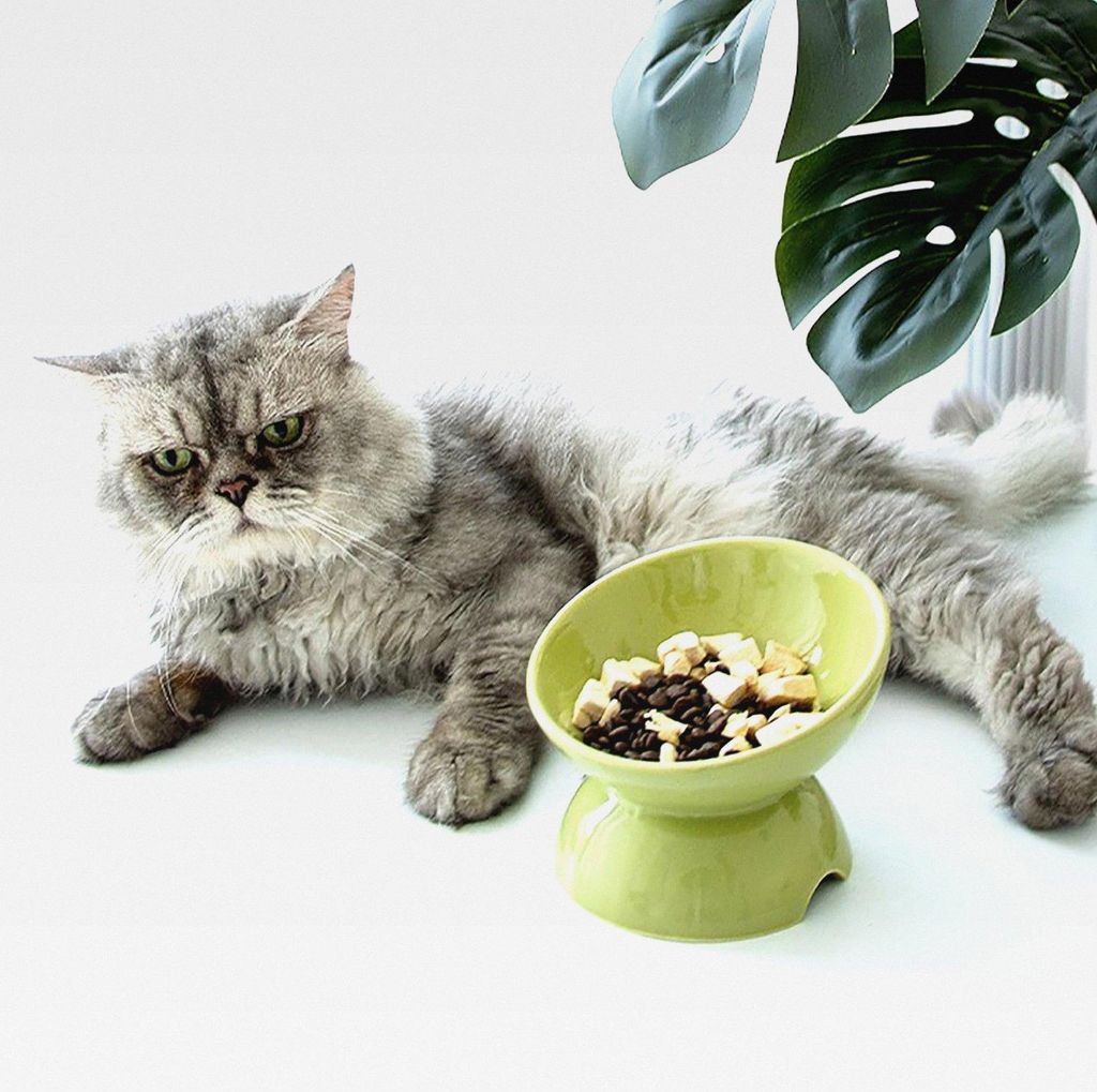 Keramik Futternapf Katze, Katzennapf Erhöht Fressnapf Katze, Keramik-Katzennäpfe für Futter und Wasser, perfekt für Katzen, Welpen und kleine H...
