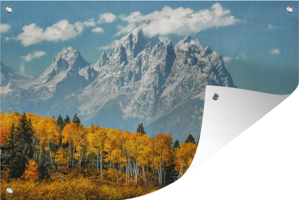 MuchoWow 60x40 cm Outdoor-Poster Gartendeko Sichtschutz Garten Poster für den Garten Eine Pappelgruppe vor einem aufragenden Berg