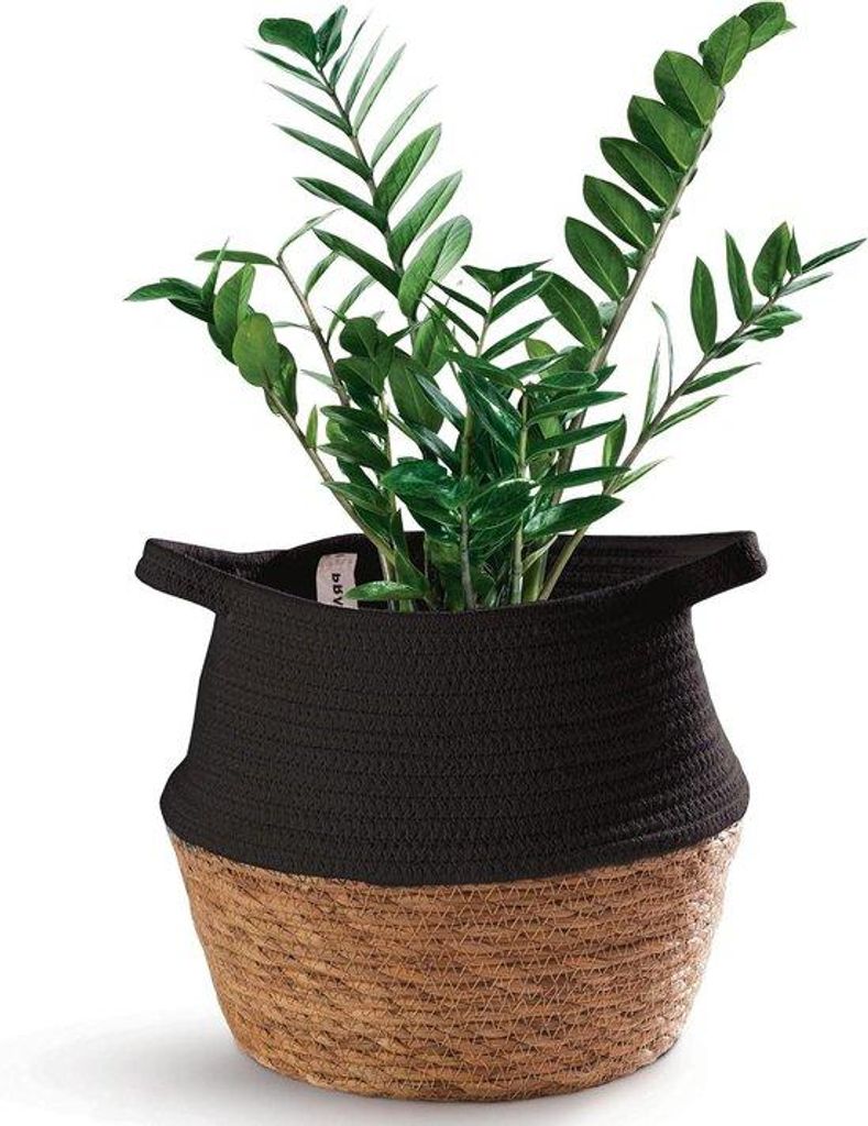 Schwarze dekorative Pflanzenkübel 27cm mit Grifflöchern