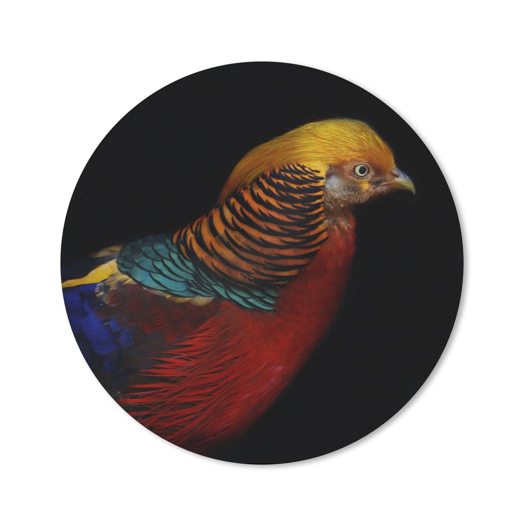 MuchoWow Mauspad Mousepad Vogel - Federn - Schwarz - Porträt 40x40 cm - Mousepads - Maus Mat - Pad - Mausunterlage - Schreibtisch Accessoires