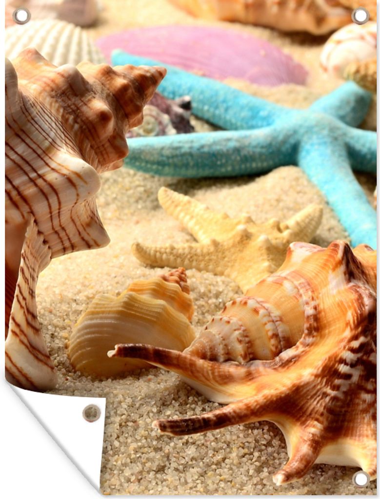 MuchoWow 90x120 cm Outdoor-Poster Gartendeko Sichtschutz Garten Poster für den Garten Seesterne - Muscheln - Sand - Strand