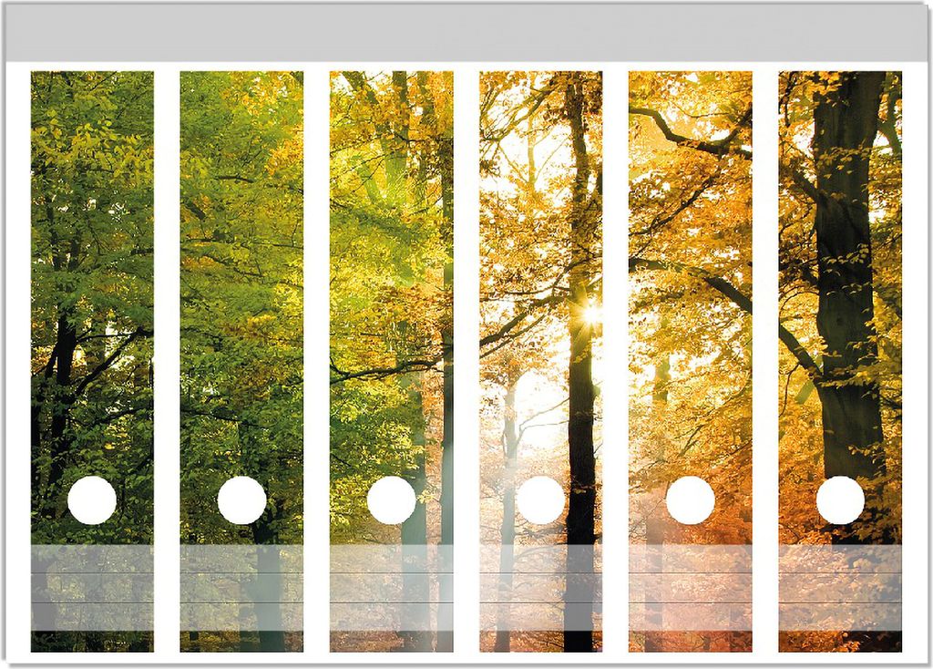 Wallario Ordnerrücken Sticker, selbstklebend für breite Ordner, 6 Stück, Motiv Sonnenuntergang im Herbstwald