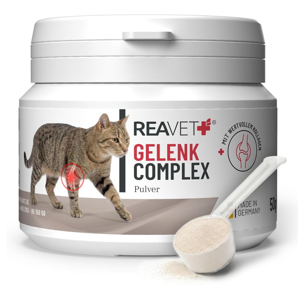 REAVET Gelenk Complex Katzen 50g – Gelenkpulver mit Kollagen für Gelenke & Knorpel – Unterstützung der Beweglichkeit I Ergänzungsfuttermitte...