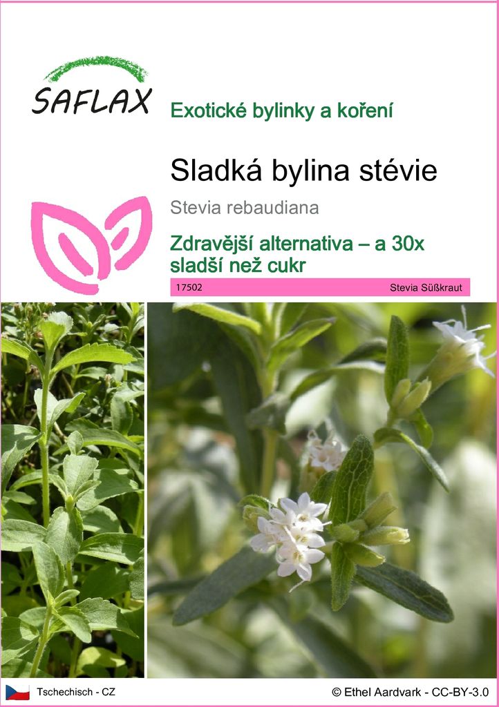 SAFLAX - Sladká bylina stévie - Stevia rebaudiana - 100 Obrázek produktu 