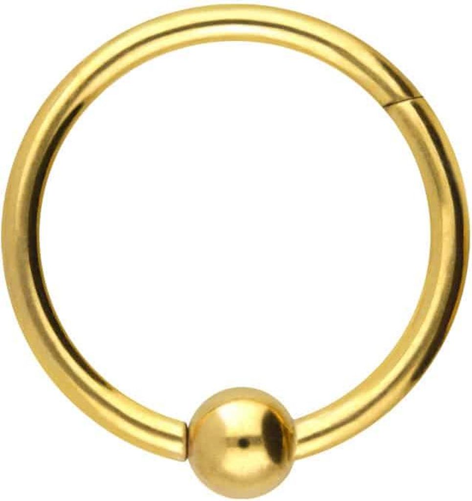 Ohrpiercing, Nasenpiercing, Septum Piercing Chirurgenstahl Segmentring Clicker KUGEL Gold Innendurchmesser: 10 mm