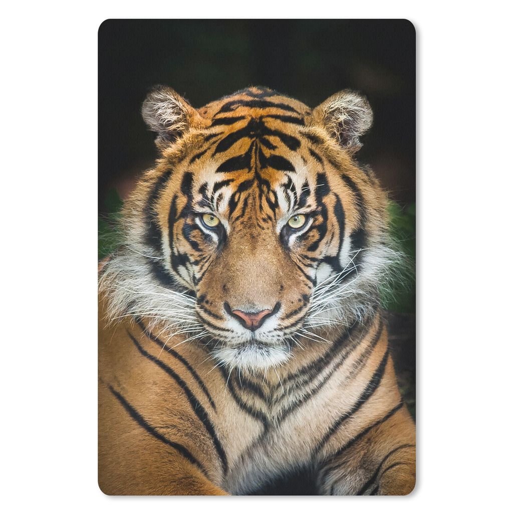 MuchoWow® Mauspad Mousepad Tiger - Schwarz 40x60 cm - Produktbild 