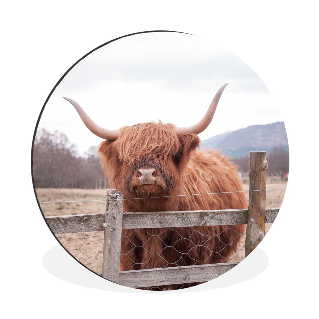 MuchoWow Aluminium Wandkreis Scottish Highlander - Gras - Zaun Ø 60 cm Wanddeko Modern Wohnzimmer - Wand Kreis - Wandbild - Schlafzimmer - Alumi...