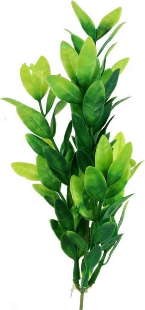 Umělá větvička zimostrázu Zelená 55 cm Obrázek produktu 