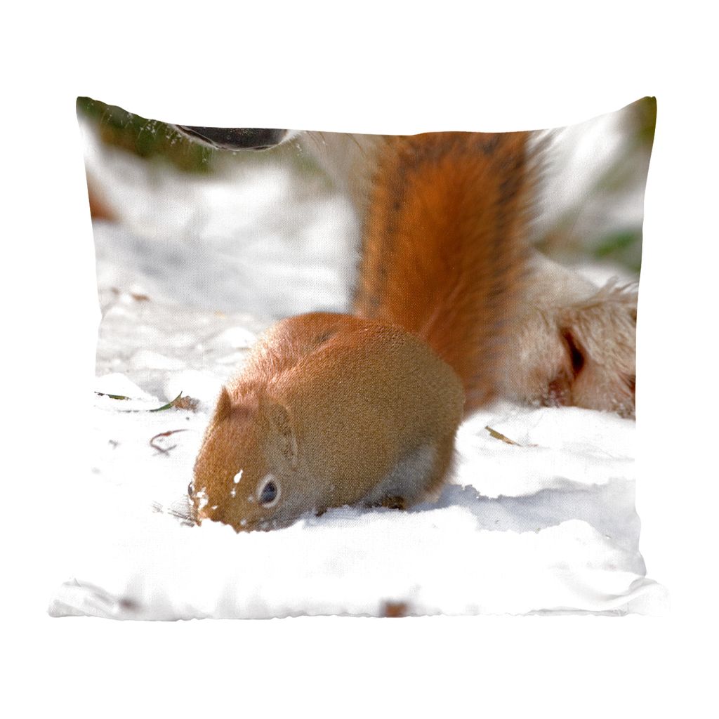 MuchoWow Zierkissen Sofakissen Wohnzimmer Dekokissen 40x40 cm Eichhörnchen - Wolf - Schnee - Winter - Foto Kissen - Schlafzimmer Dekoration