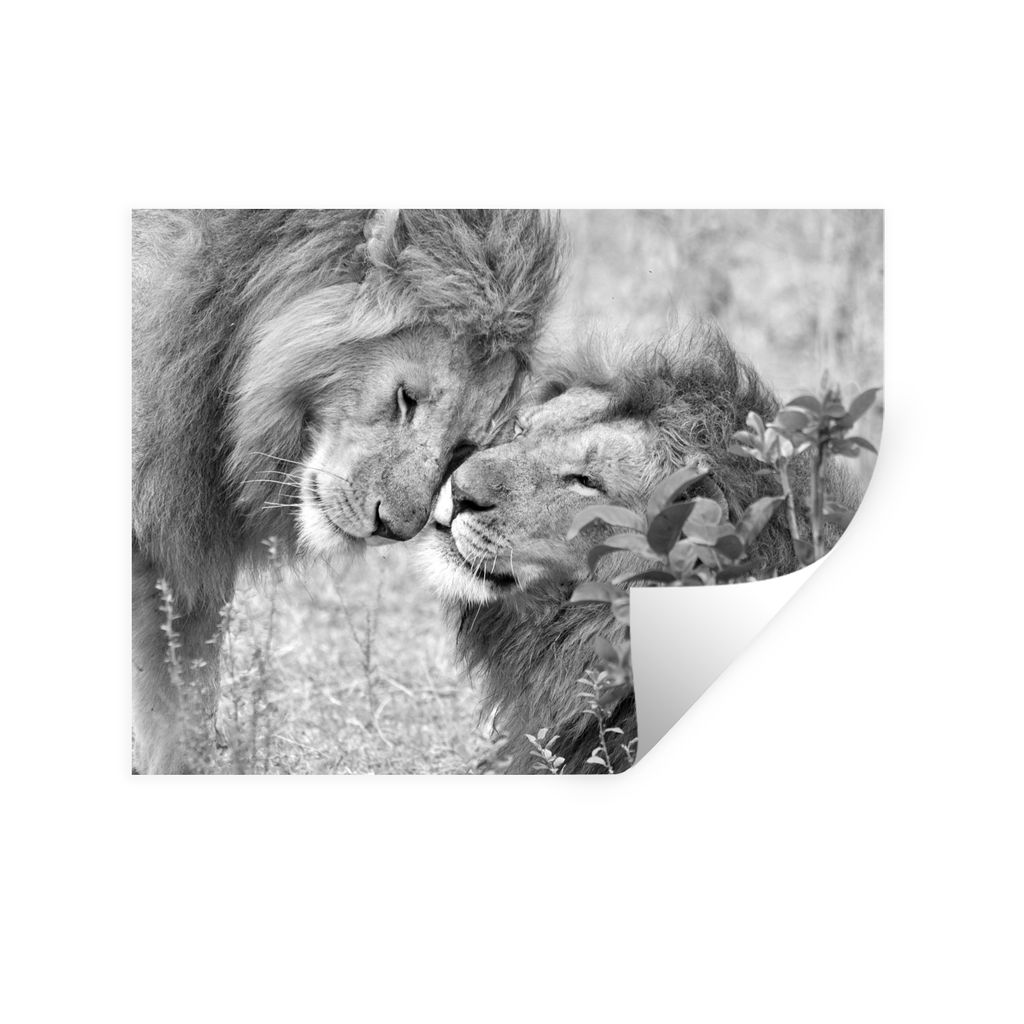 MuchoWow Wandtattoo Wandsticker Wandaufkleber Zwei Löwenbrüder - schwarz und weiß 40x30 cm Selbstklebend und Repositionierbar - Faltenfrei