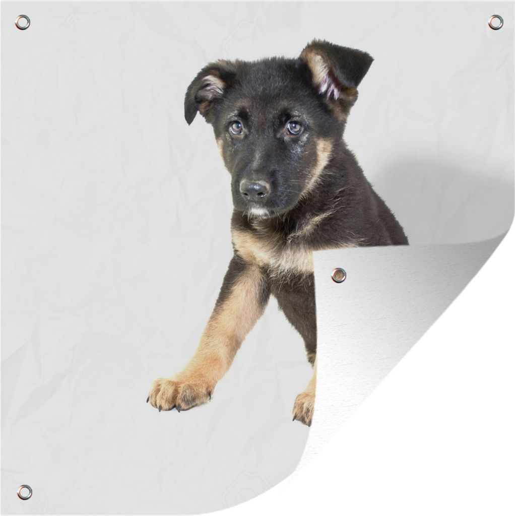 MuchoWow 50x50 cm Outdoor-Poster Gartendeko Sichtschutz Garten Poster für den Garten Sitzender Deutscher Schäferhund Welpe