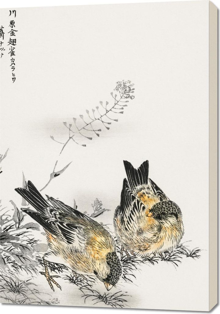 Bild 70x100cm Greenfinch, Japanische Kashu Vintage für das Wohnzimmer