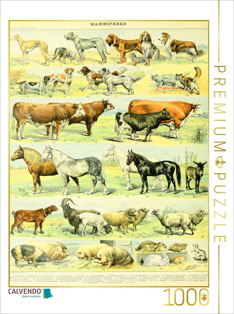 CALVENDO Puzzle Naturtafel mit Haustieren | 1000 Teile Produktbild 