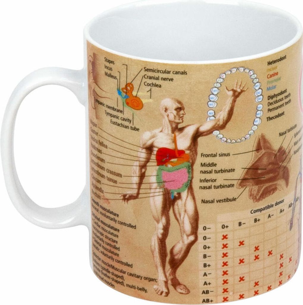 Könitz Medicine Wissensbecher Englisch, Becher, Tasse, Kaffeetasse, Porzellan, 460 ml, 11 1 330 1909