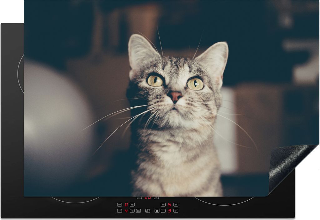 KitchenYeah Herdabdeckplatte Katze - Tiere - Porträt , 78x52cm, Küche Deko, Glaskeramikkochfeld Herdabdeckung, Abdeckplatte fùr Kochfeld