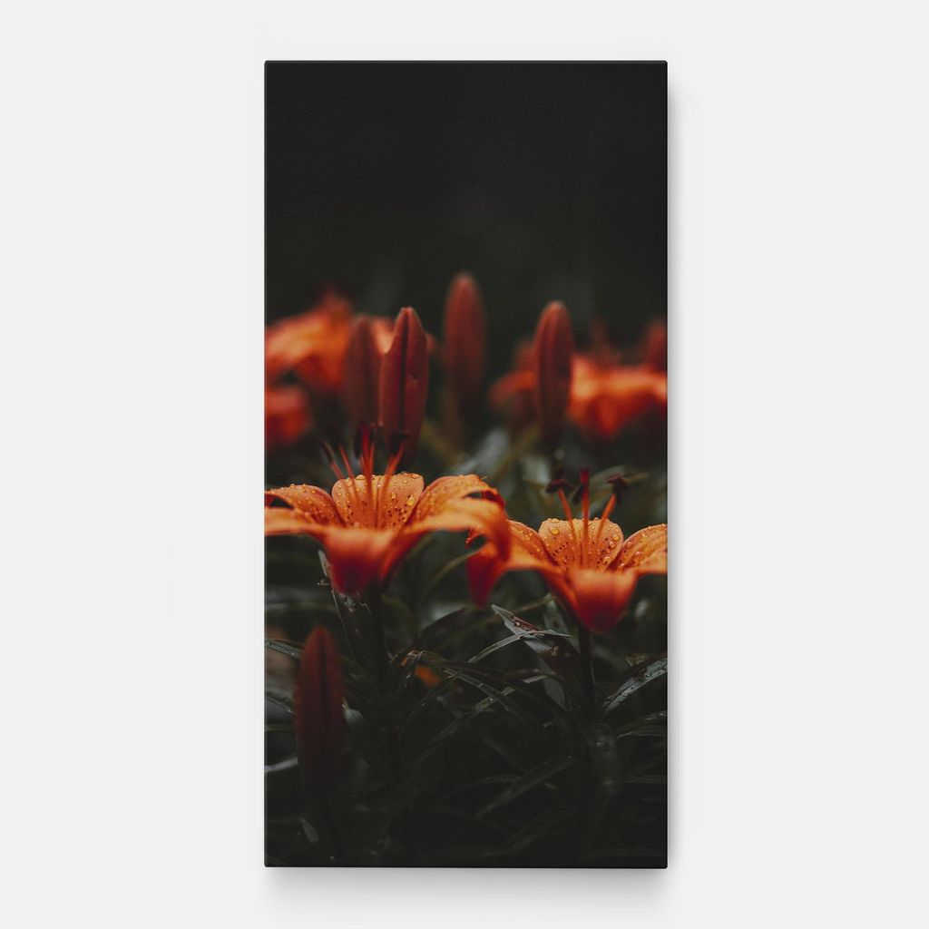 ARTHUB Leinwandbild 50x100 cm, Dreamy Wild Flower | Wohnzimmerdekoration, Hängende Bilder, Wanddekoration, Heimdekoration, Blumen, Blumen in der...