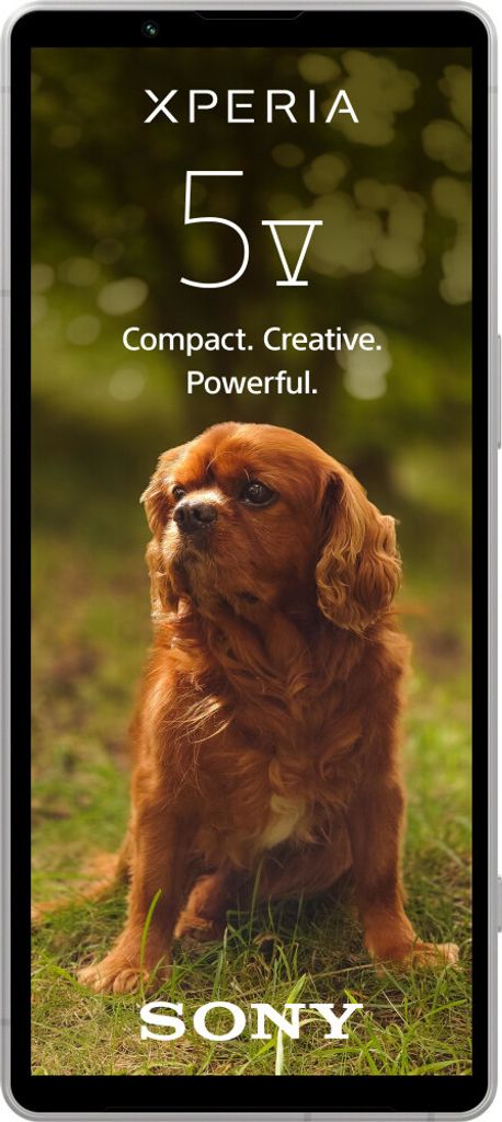 Xperia 5 V 5G 128GB Silber Smartphone