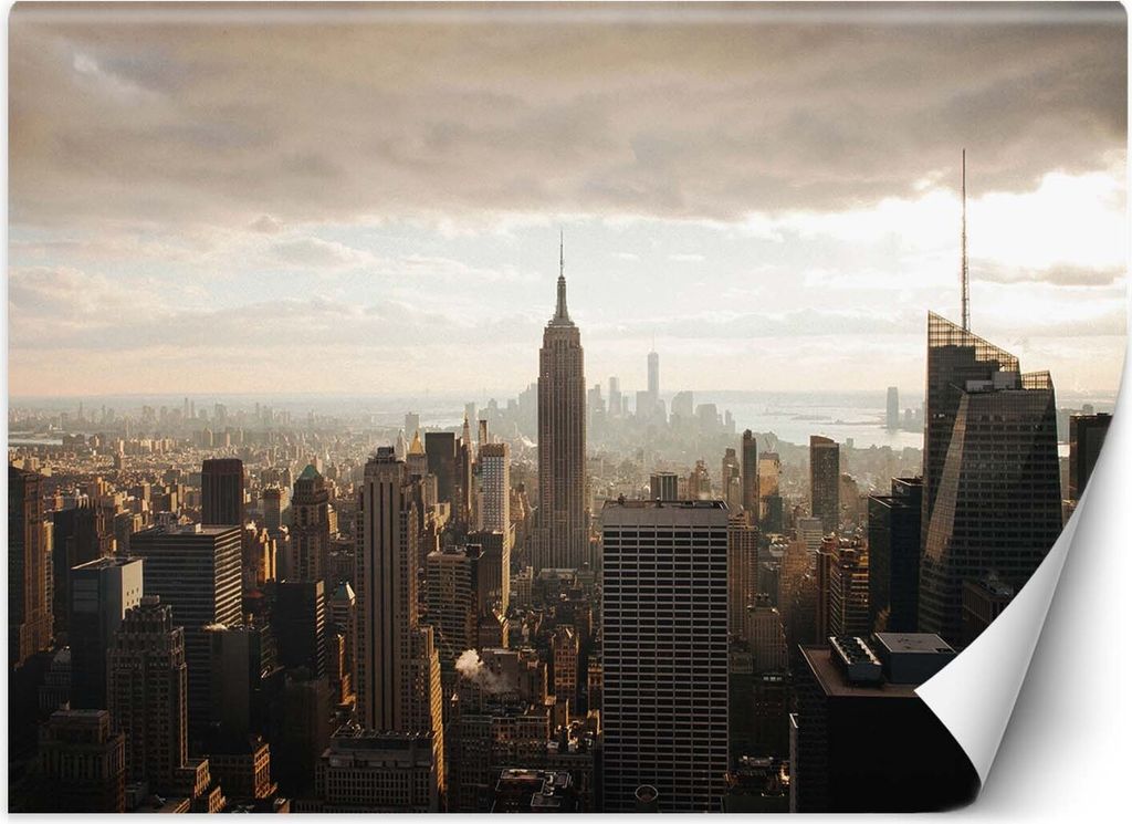 Vlies fototapete New York Manhattan 250x175 cm Feeby Braun inkl. Kleber einfache Montage