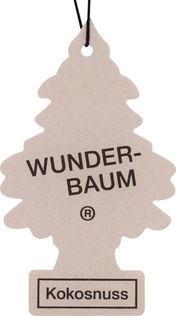 Wonderboom, kleine boom, kokosnoot Productafbeelding 
