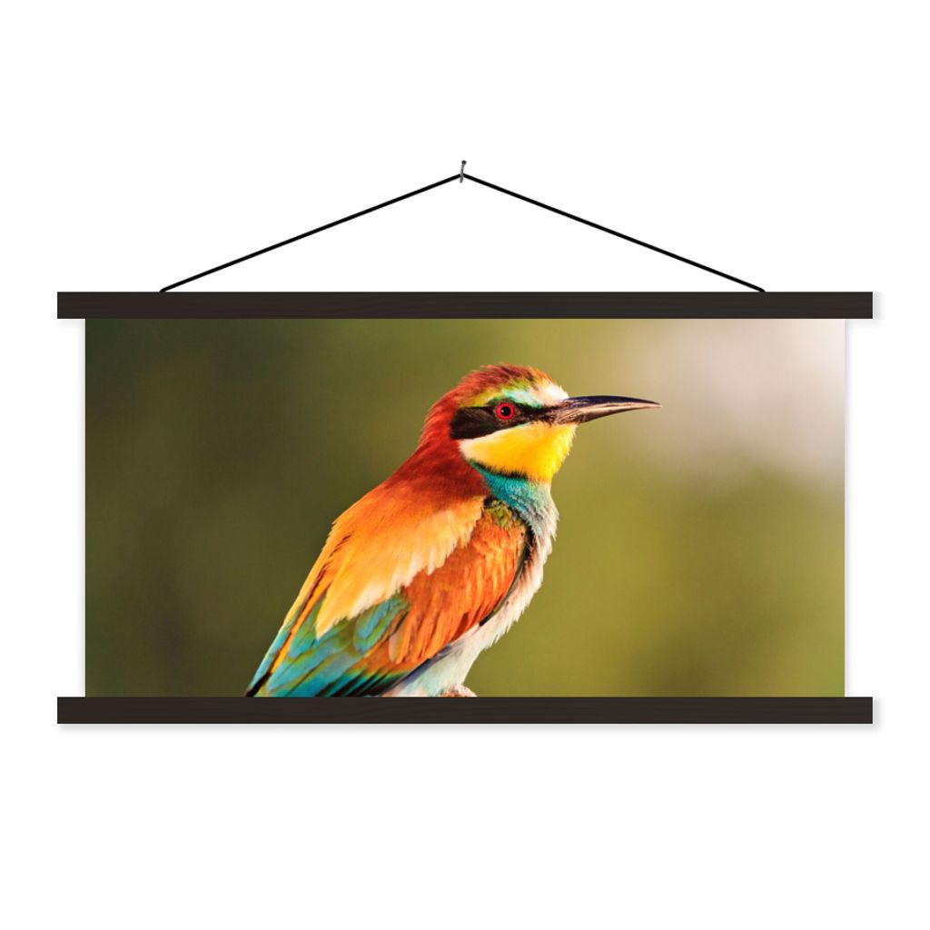 MuchoWow Textilposter Vögel - Bienenfresser - Regenbogen - Tiere 150x75 cm mit schwarzem Rahmen - Posterleiste