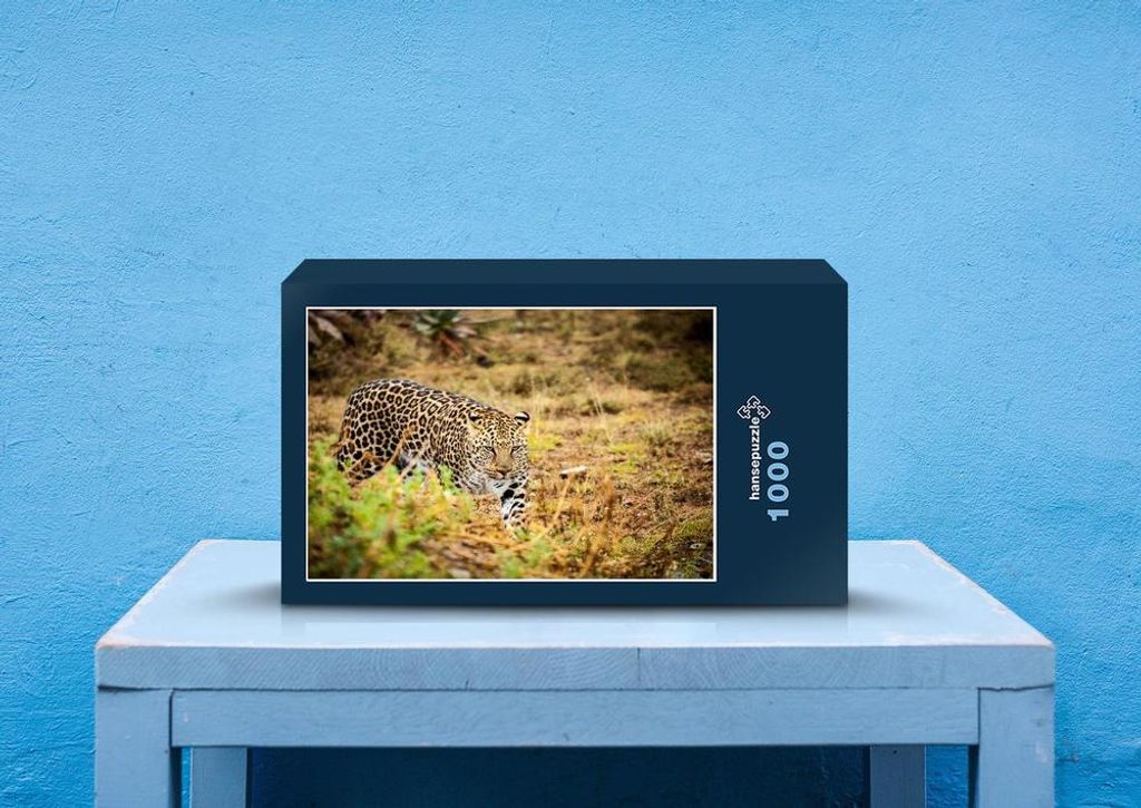 hansepuzzle 75611 - Leopard Puzzle, 1000 Teile, Tierwelt, 60,0 x 46,0cm mit hochwertiger Aufbewahrung, Kartonbox und wiederverschließbarem Beutel