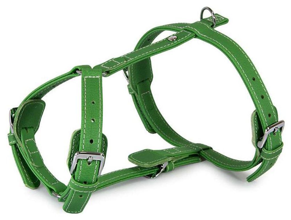 Das Lederband Geschirr Barcelona Summer-Green, Halsumfang: 25-45 cm