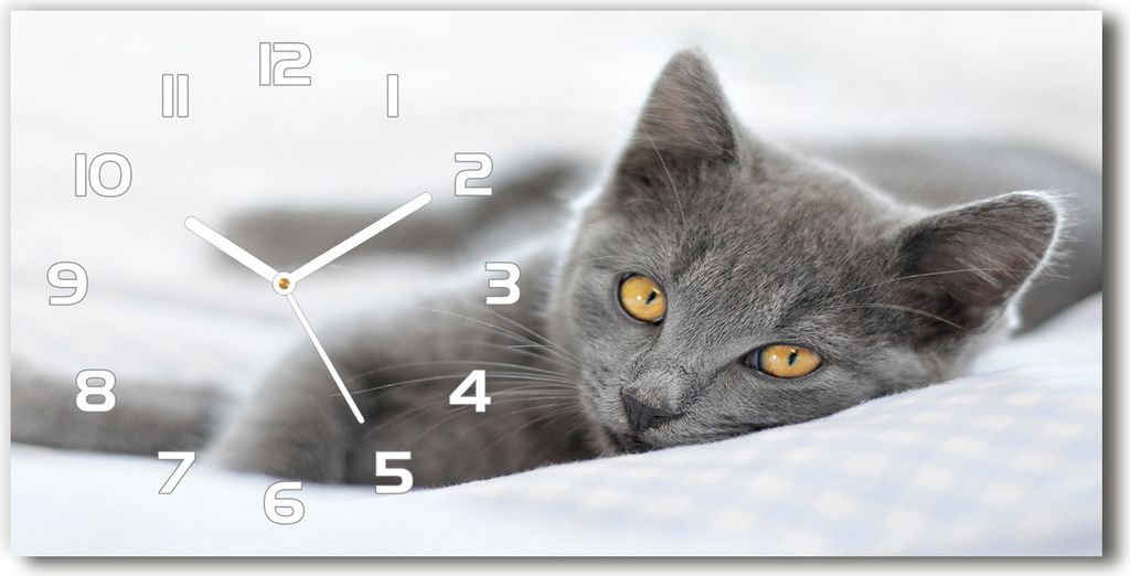 Wanduhr aus Glas – 60x30 cm - Glasbild - Glasuhr - Gehärtetes Glas - weisse-zeiger - graue Katze