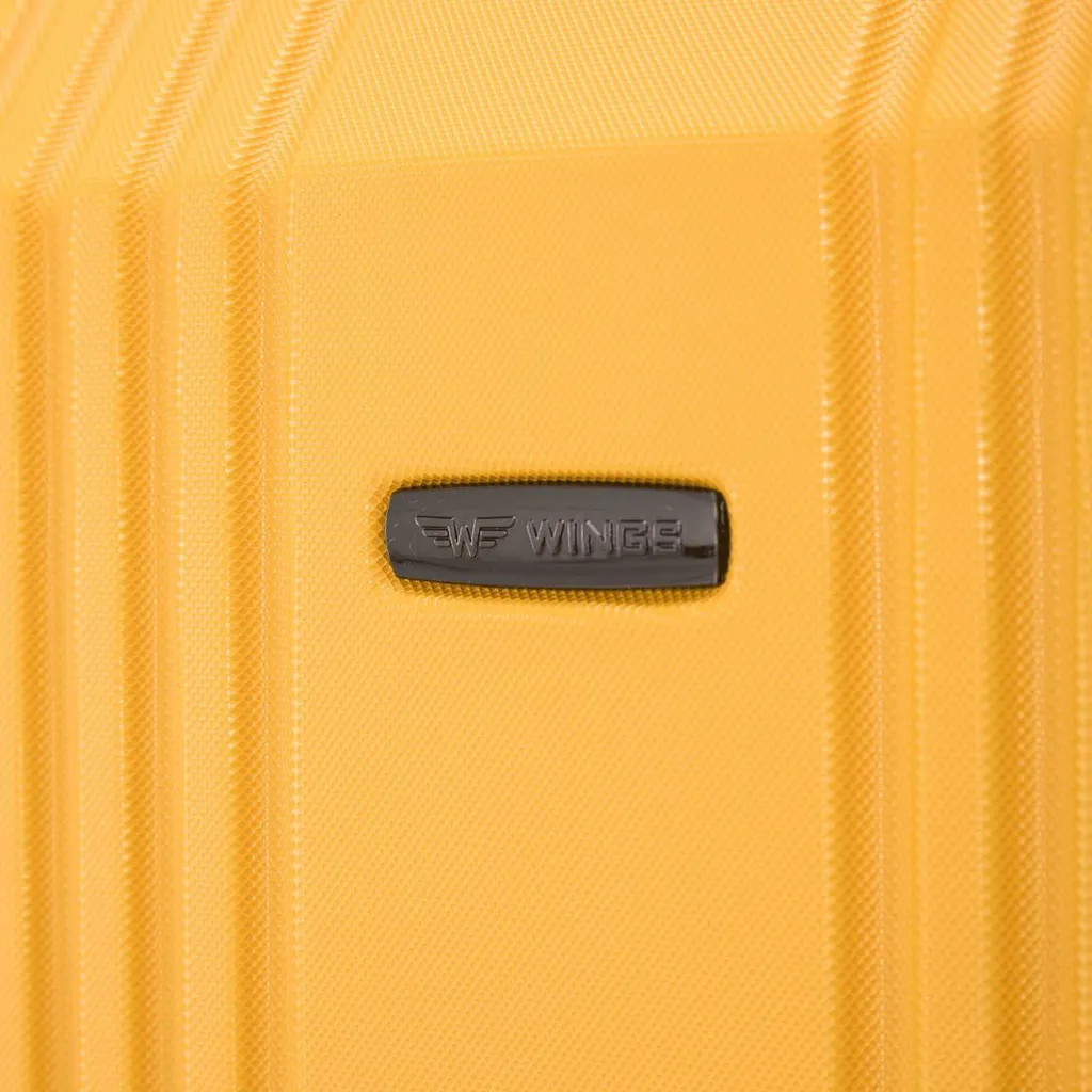 Bagage de Soute Moyen Modèle 60cm Gris Anthracite à Coque Renforcée