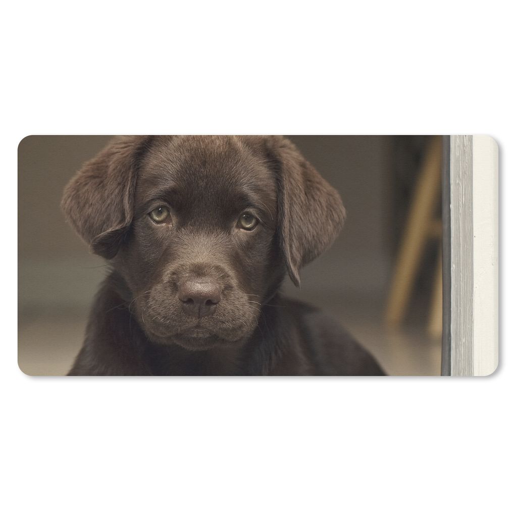 MuchoWow Mauspad Mousepad Niedlicher Labrador Retriever schaut in die Kamera 60x30 cm - Mousepads - Maus Mat - Pad - Mausunterlage - Nachhaltig