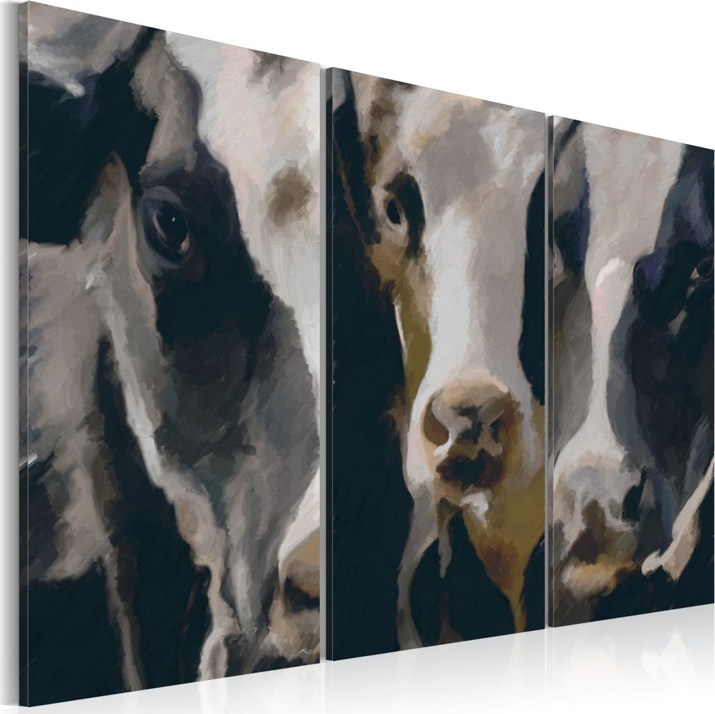 Modernes Wandbild 020116- 25 (120x80) - 3 Teilig Bilder Fotografie auf Vlies Leinwand Foto Bild Dekoration Wand Bilder Kunstdruck Tiere