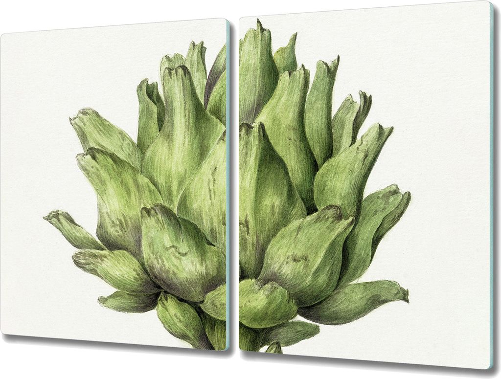 Coloray Herdabdeckplatte 2x40x52 cm Schneidebrett Kochplattenabdeckung Küchenbrett Hackbrett - Blumen Pflanzen