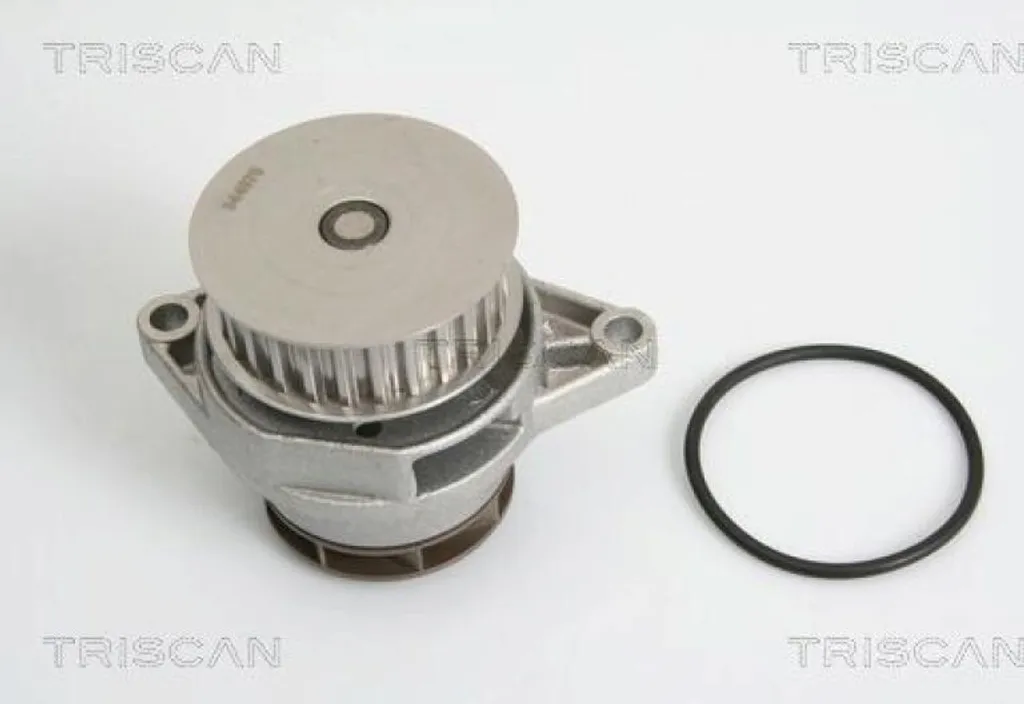 Pompe à eau moteur TRISCAN 8600 29027 pour entretien et réparation