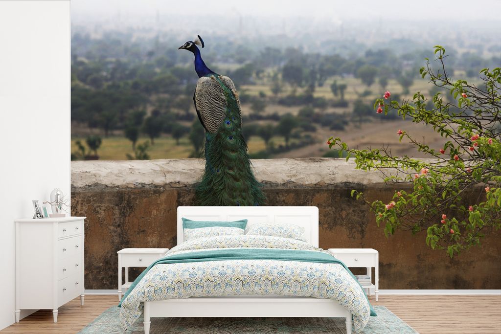 MuchoWow Fototapete für Wohnzimmer oder Schlafzimmer Wandtapete Vinyl Motivtapete Pfau - Wand - Natur - 360x240 cm - Vinyl-Tapete
