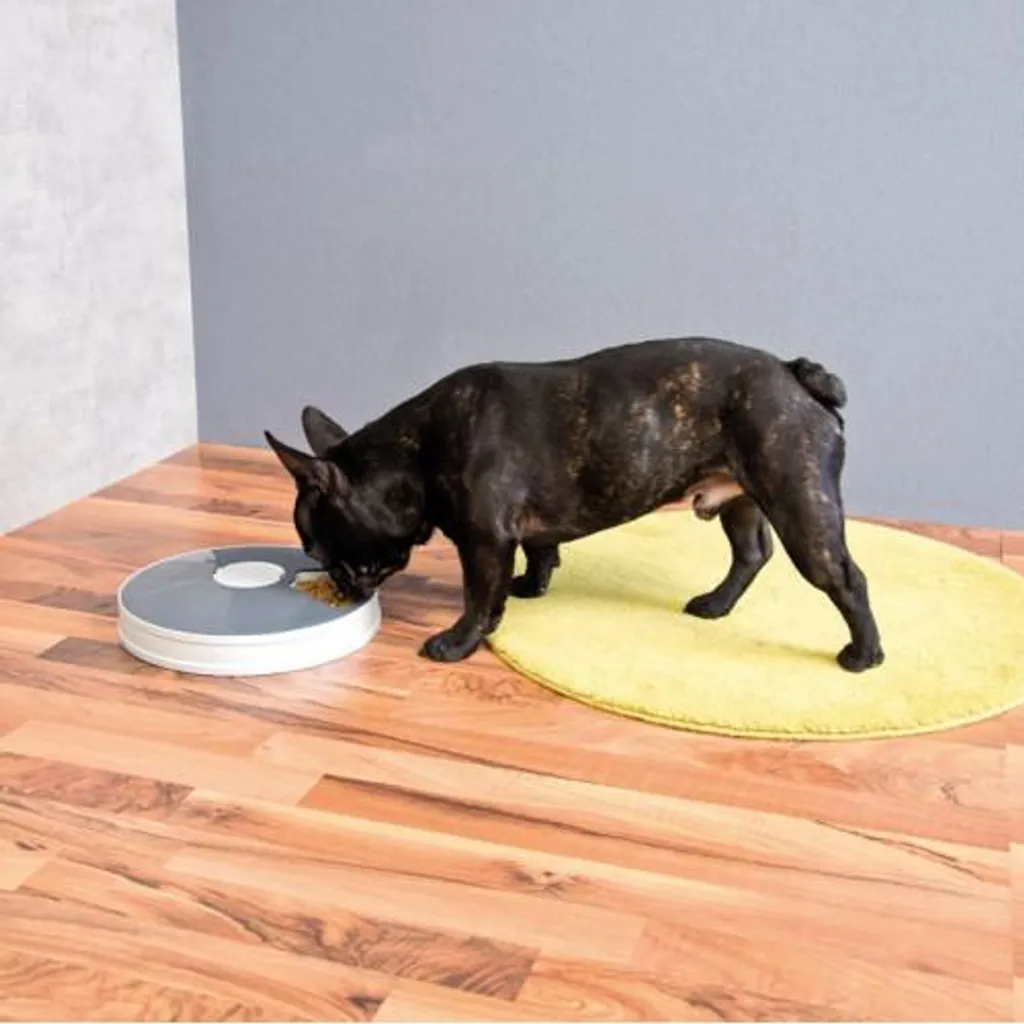 Distributeur nourriture programmable pour petit chien et chat - 4L Blanc - 3