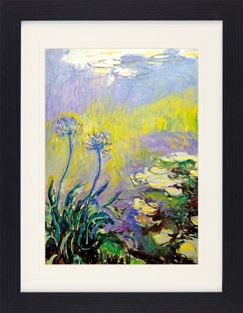 Claude Monet Gerahmtes Bild Mit Edlem Passepartout | Wand-Bilder | Im Bilderrahmen - Schmucklilien, Agapanthus, 1914-17 (40 x 30 cm)