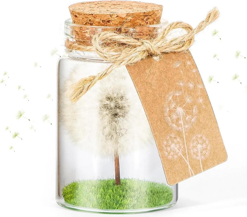 Pissenlit Naturel sous Verre Fait Main - Cadeau Poétique et Original