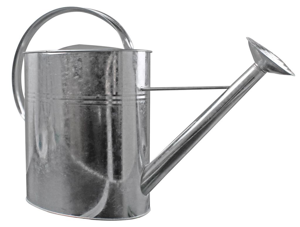 Blechkanne Gießkanne Metallkanne Kanne verzinkt 10 Liter Produktbild 
