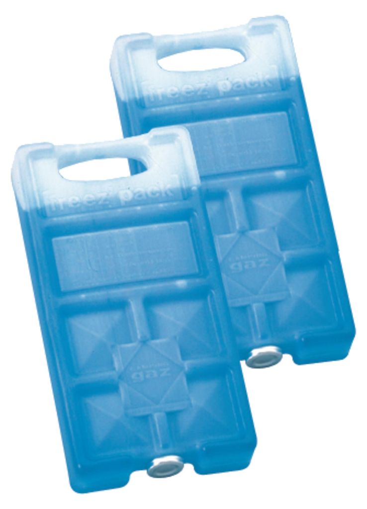 CAMPINGAZ confezione di ghiaccio FreezPack M5 39040 2 pezzi Immagine del prodotto 