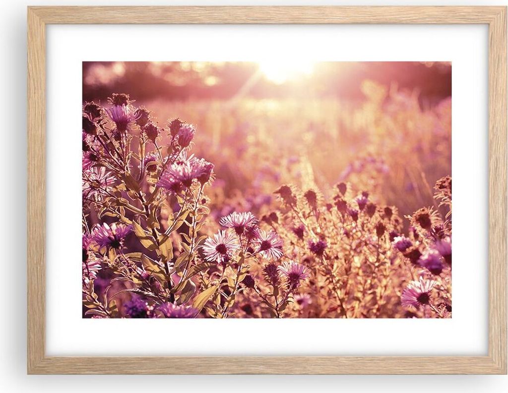Gerahmtes Poster - Rahmen in heller Eiche - Wiese Blumen Sonne - 40x30 cm - Wand Bild - Wanddeko - Wandbilder - Kunstposter - Wandposter - Bilderra...