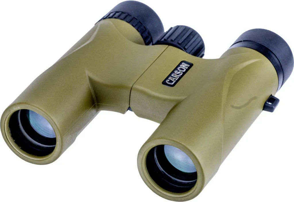 Carson Stinger 10x25 Jumelles avec prismes en toit et optiques traitées