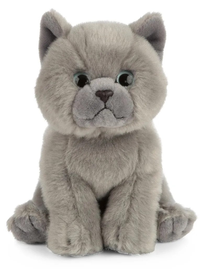 Peluche Chaton Gris British Shorthair 16cm - Doudou Réaliste Enfant