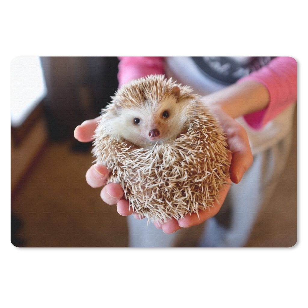MuchoWow Mauspad Mousepad Igel wird gehalten 27x18 cm - Mousepads - Maus Mat - Pad - Mausunterlage - Büroartikel - Desk Matten