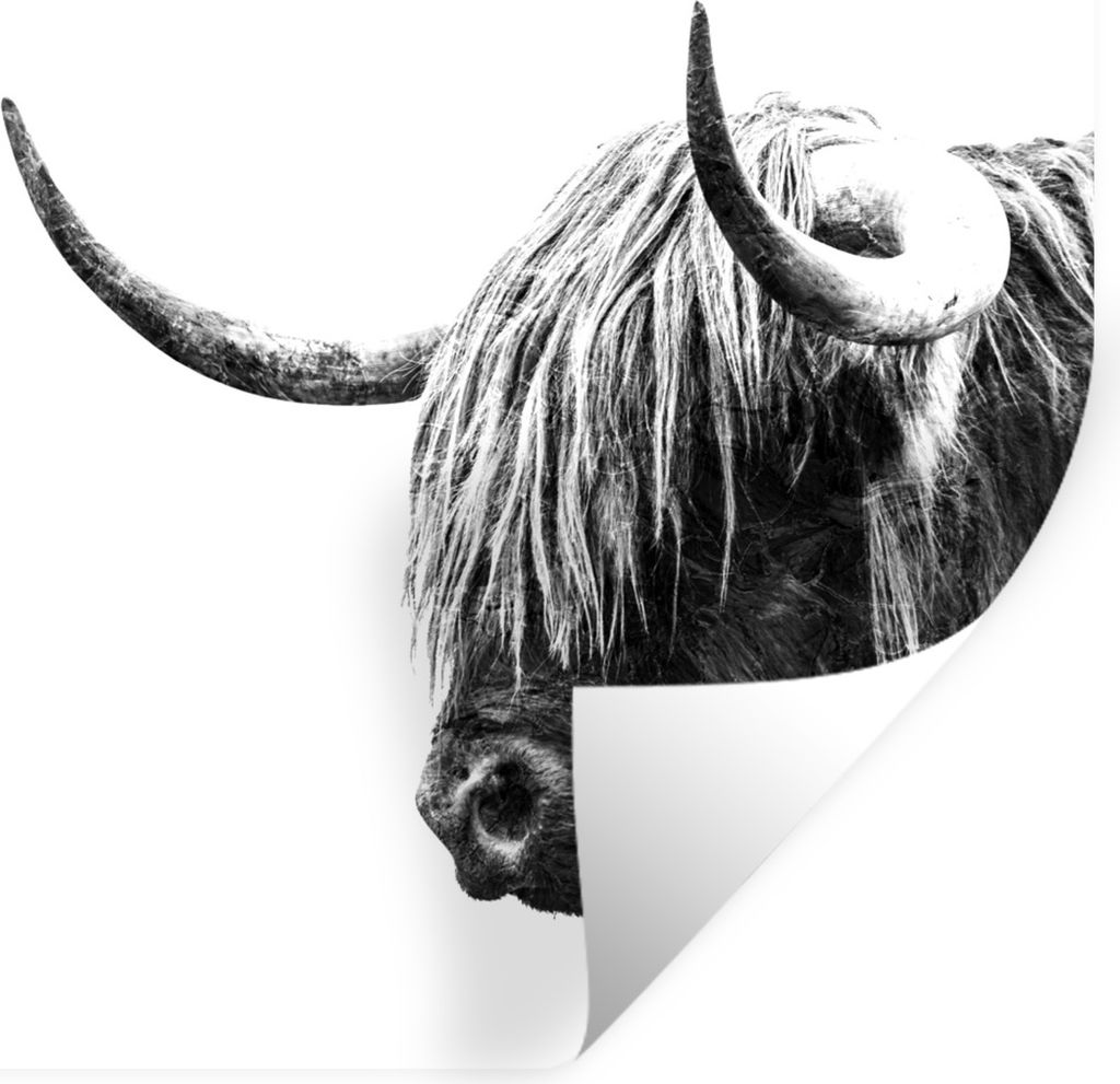 MuchoWow Wandtattoo Wandsticker Wandaufkleber Schottischer Highlander - Horn - Schwarz - Weiß 100x100 cm Selbstklebend und Repositionierbar - Wi...