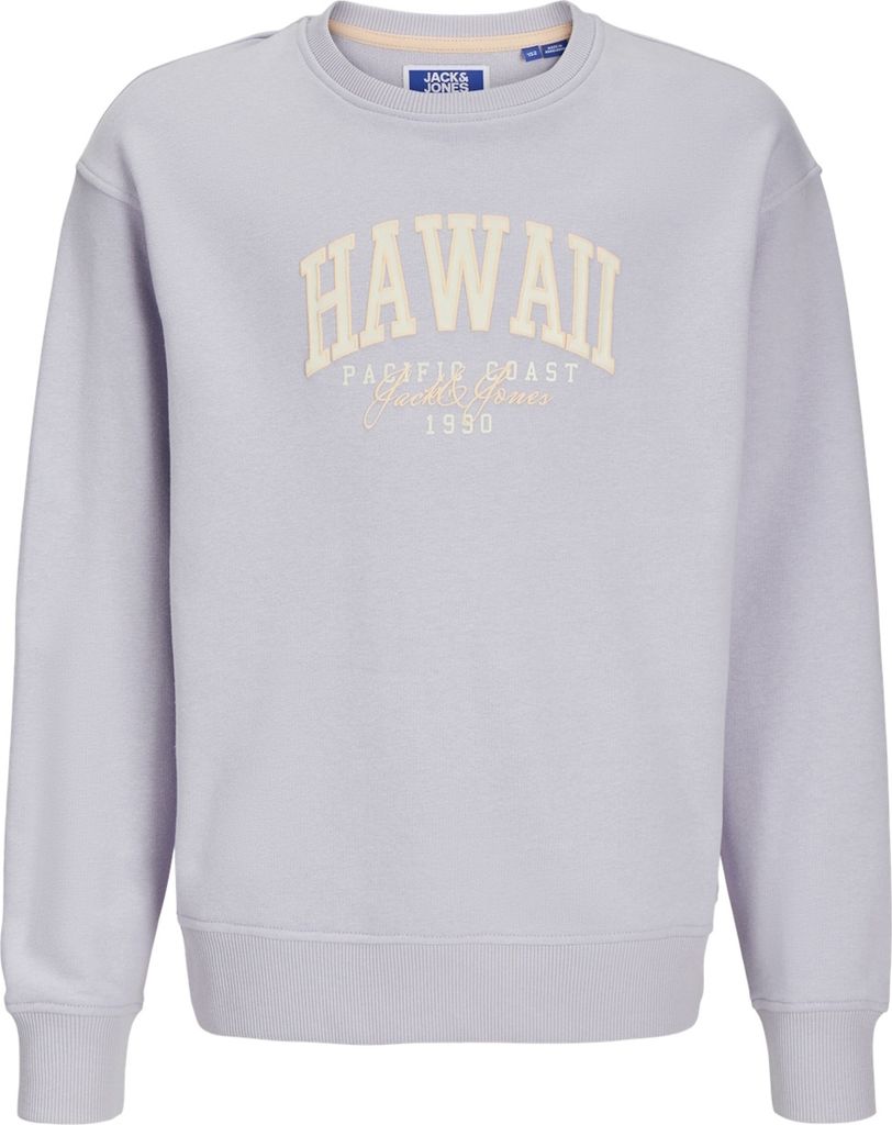 Jack & Jones Junior Pullover DETROIT Sweatshirt