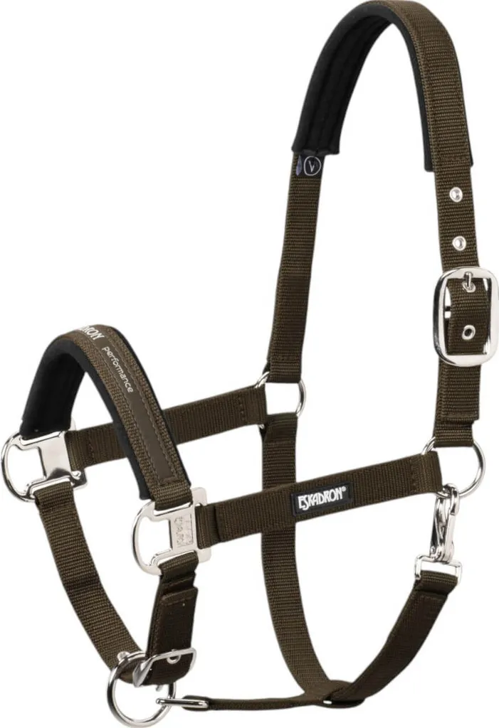 Licol Eskadron Pin Buckle Basic avec boucle à ardillon marron foncé