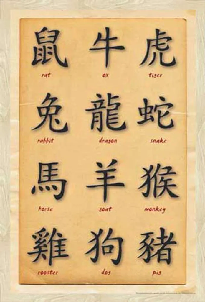 Poster Zodiaco Cinese + Cornice Shinsuke Rovere | Wall Art Formato Maxi