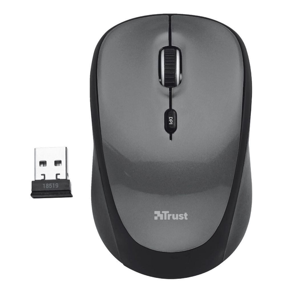 A wireless computer mouse and its USB receiver are shown on a white background.