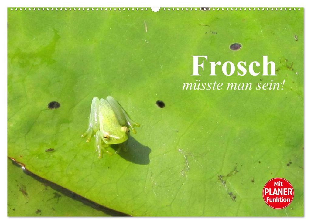 Frosch müsste man sein! (Wandkalender 2027 DIN A2 quer), CALVENDO Monatskalender