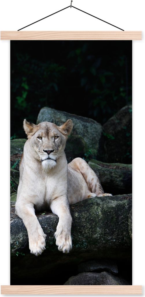 MuchoWow Textilposter Löwe - Wilde Tiere - Porträt 60x120 cm mit holzfarbenen Rahmen - Holz