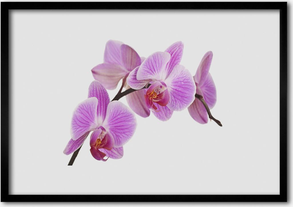 Bild 100x70 MDF-Rahmen Wandkunst Blumen Pflanzen Natur